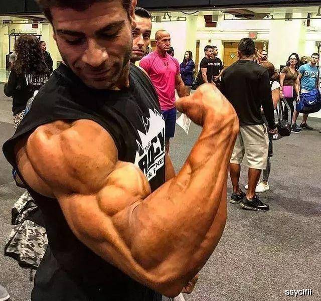 如何快速增长大臂肌肉 3b4a79e55cb44dd3a250a8ab777e4dd0.jpeg