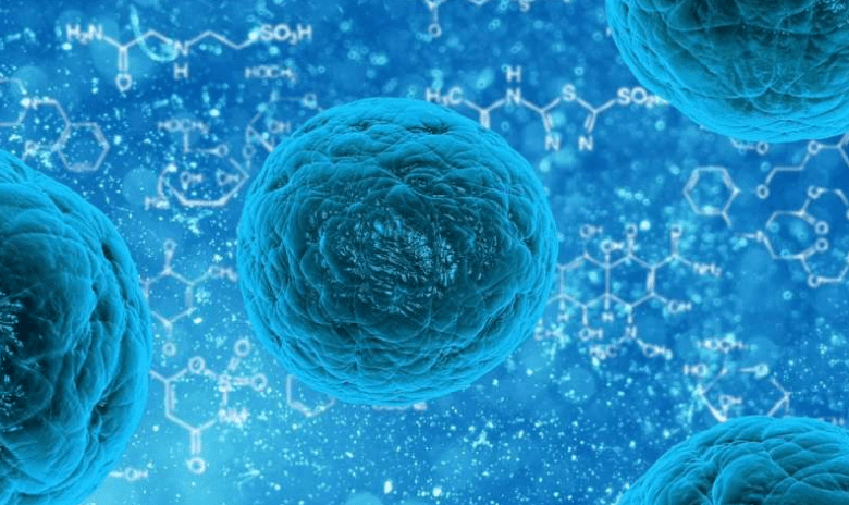 干细胞的5大趋势,实现生命科学,保障我们的健康