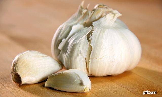 蒜什么时候下种 b3e1b6f19f7248be857776442df3a80b.jpeg