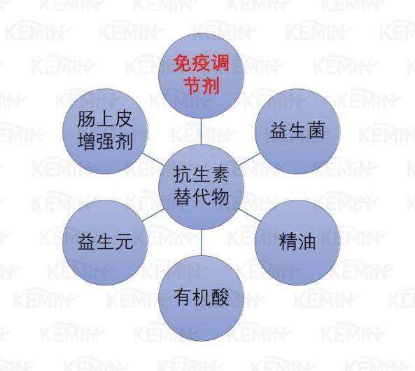 图3 核心抗生素替代物类型免疫增强剂免疫调节剂听起来陌生,但大家用