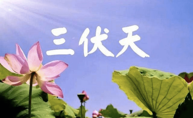 d35e547adc3b4be0bb1c84e39dfc5a7a.png