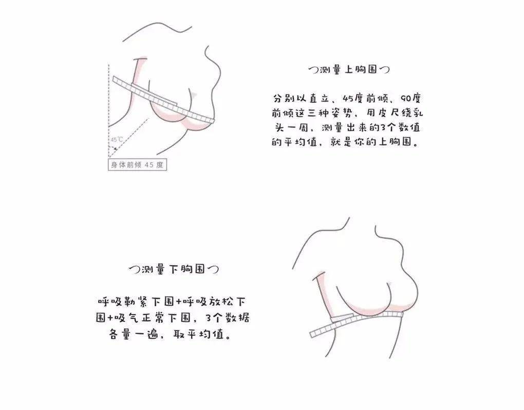 内衣上下围怎么量_上围下围怎么量图解(2)