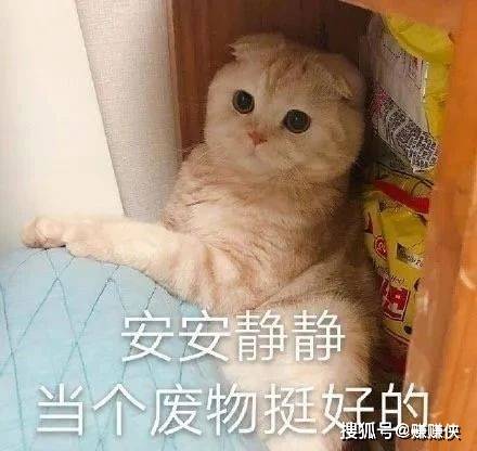 搞笑表情包图片:别惹我,拳头会硬的