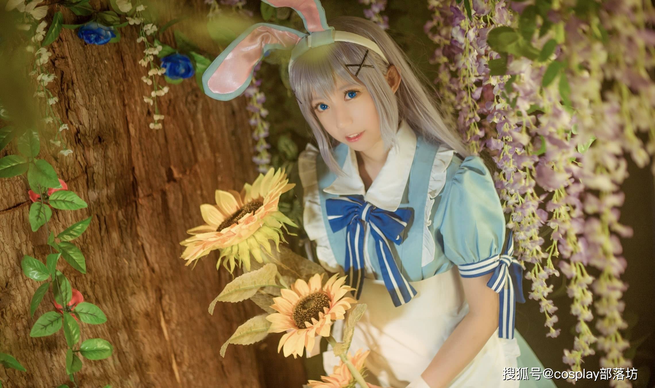 cos:森林小屋里的兔子装扮的智乃