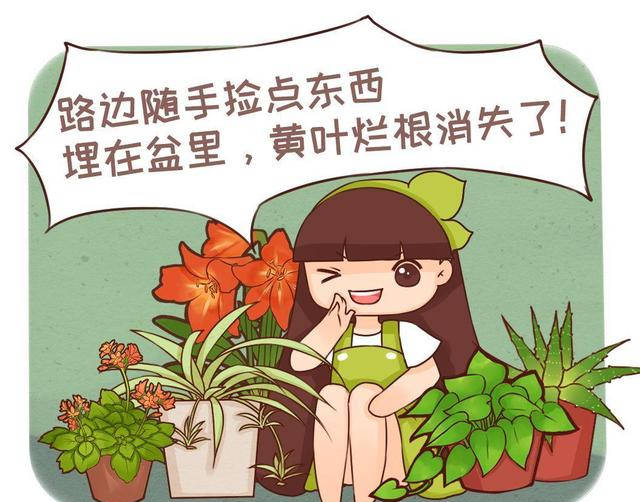 科普一下捡到的东西 34274862ad0d4cefab7d7dede00297a8.jpeg