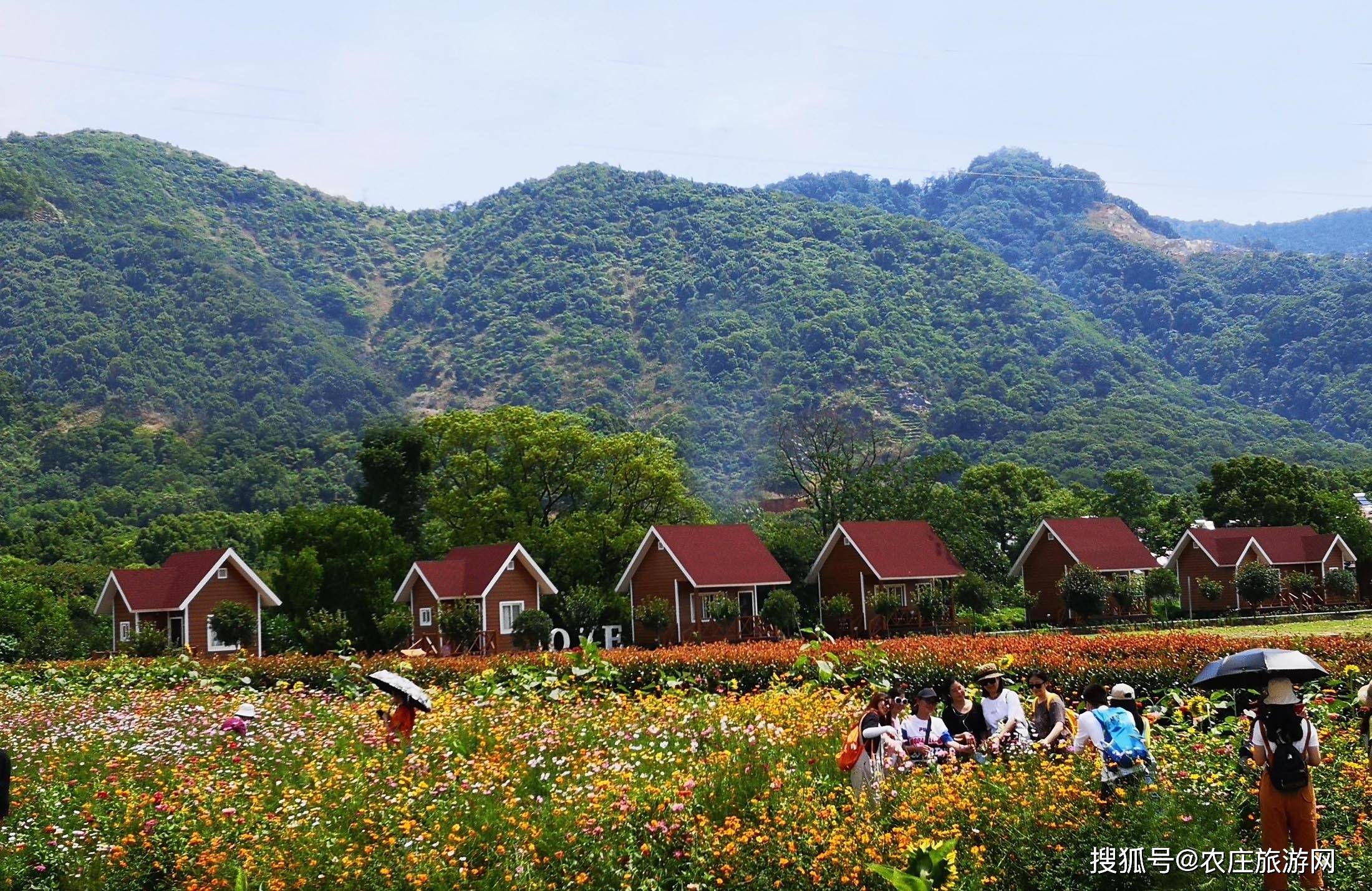 江西德安:小木屋民宿成乡村旅游新亮点