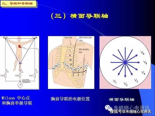 心电向量和心电图产生原理