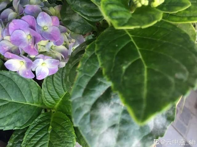 94fb5c0b424849b9b360529de57c5a1b.jpeg