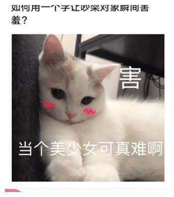 da88365547894684b588db5e09295747.jpeg