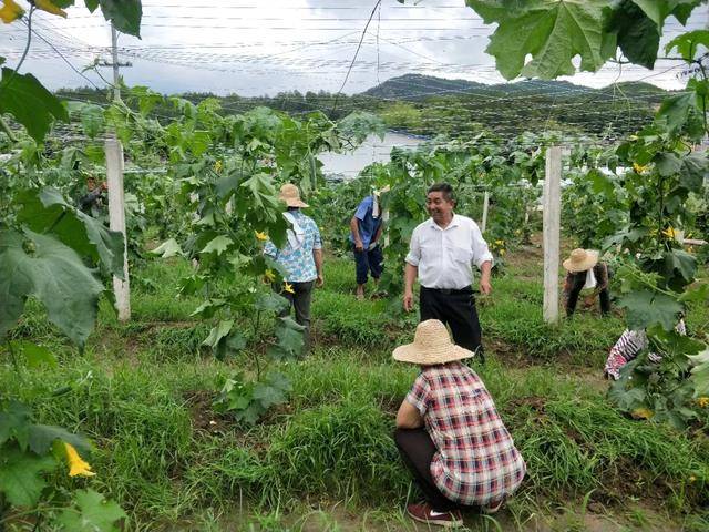 承诺的力量英山县黄林冲村党支部书记汪世雄脱贫攻坚事迹