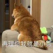 张大奕是穷疯了吗?长生不老功效的智商税也敢尬吹,真把粉丝当傻子?