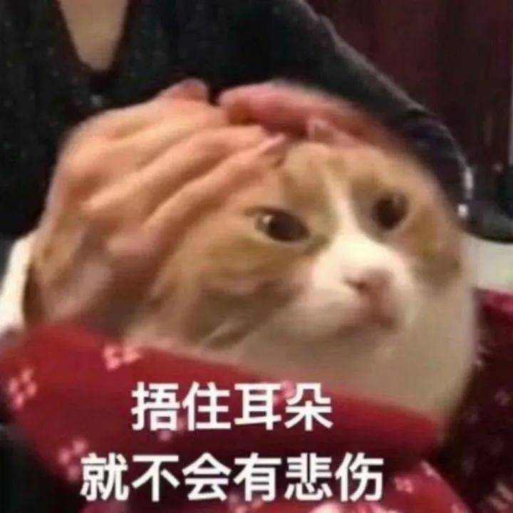 d441c546c81e47f69ac14d142dbc0bb2.jpeg