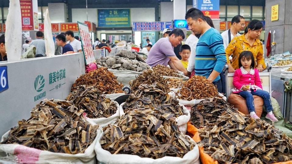 桂林中药材交易市场有哪些