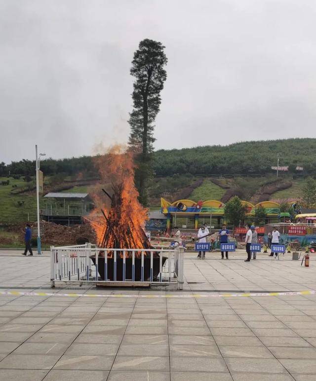 邵东市2020的gdp_邵东市2020最新规划图(2)