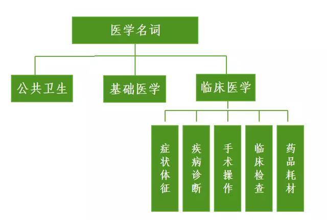 医学GDP名词解释_医学tips名词解释