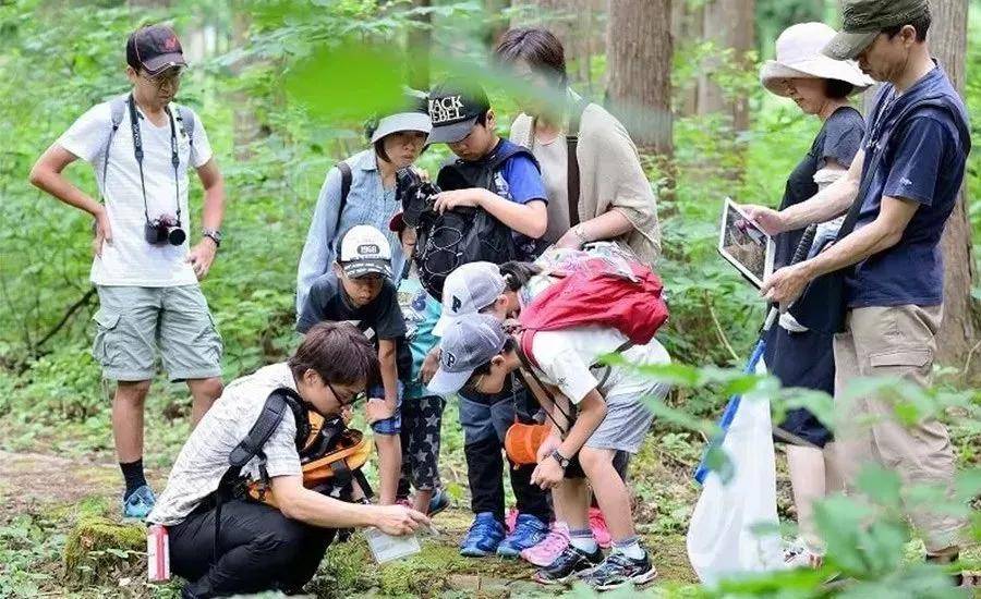 Kaiyun 开云体育日本休闲农业好在哪？对我国有何借鉴意义？(图14)