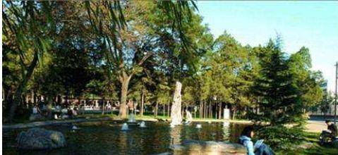 政治|2021年中国人民大学设计艺术学专业考研经验分享