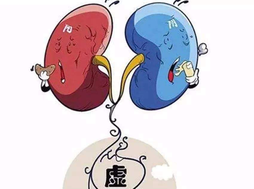 肾虚应该先养肾，肾虚有哪些症状？肾虚适合吃的食物有哪些？