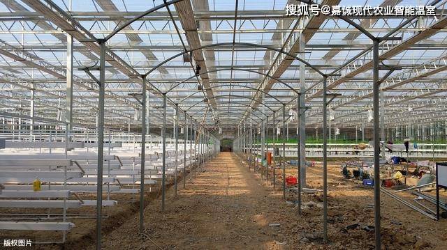 该怎么建造?一亩地大棚投资造价如何