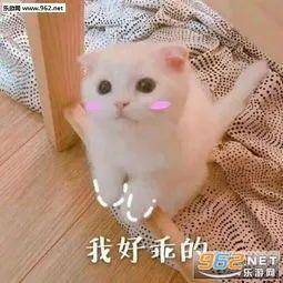 93c59a740ab04a26a5efcdd00a77382b.jpeg