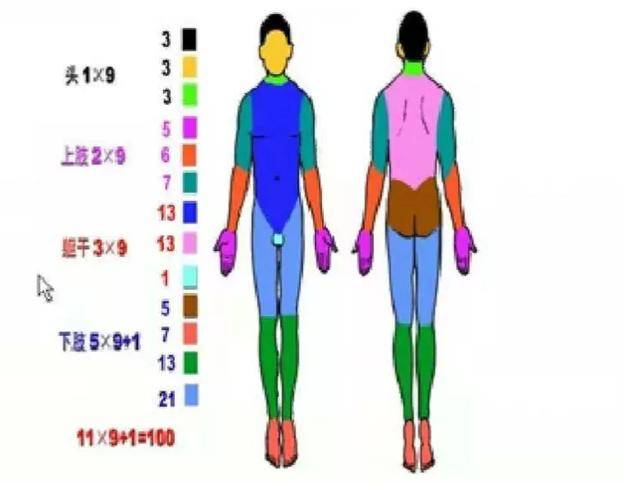 烧伤面积习惯上以相对于人体体表面积的百分率来表示,第三军医大学