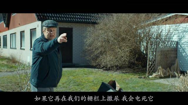 什么叫完美的人生 c871059ada24408693244bff7656e521.jpeg