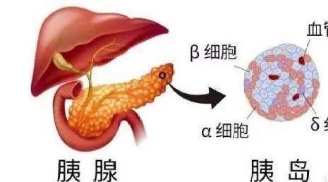 eedbde54d6414b94aa611835b518aab4.jpeg