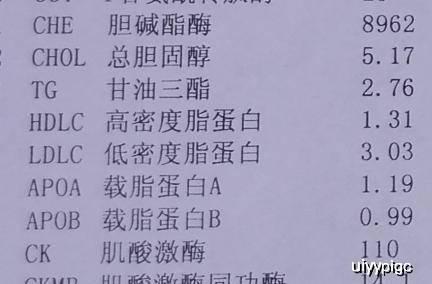 血脂怎么看化验单图片 64b7e9cf35334a5980c0277f8d6934fc.jpeg