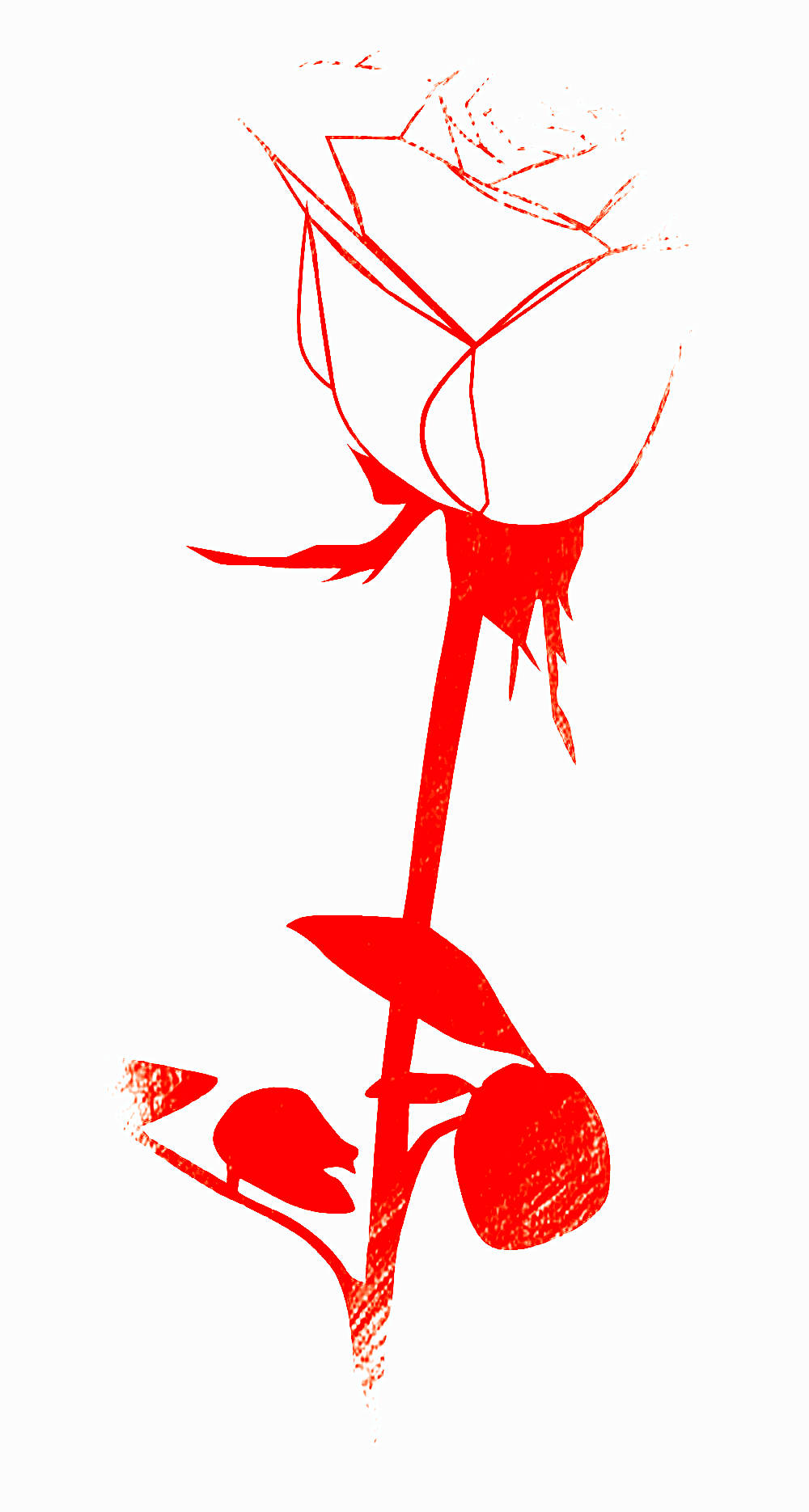 写完《零乡》的作家唐国明三首鹅毛诗歌名作