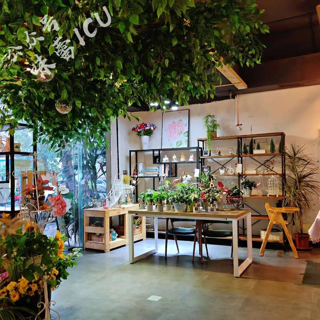 名字像花店,样子像花店,万万没想到吃的是草!