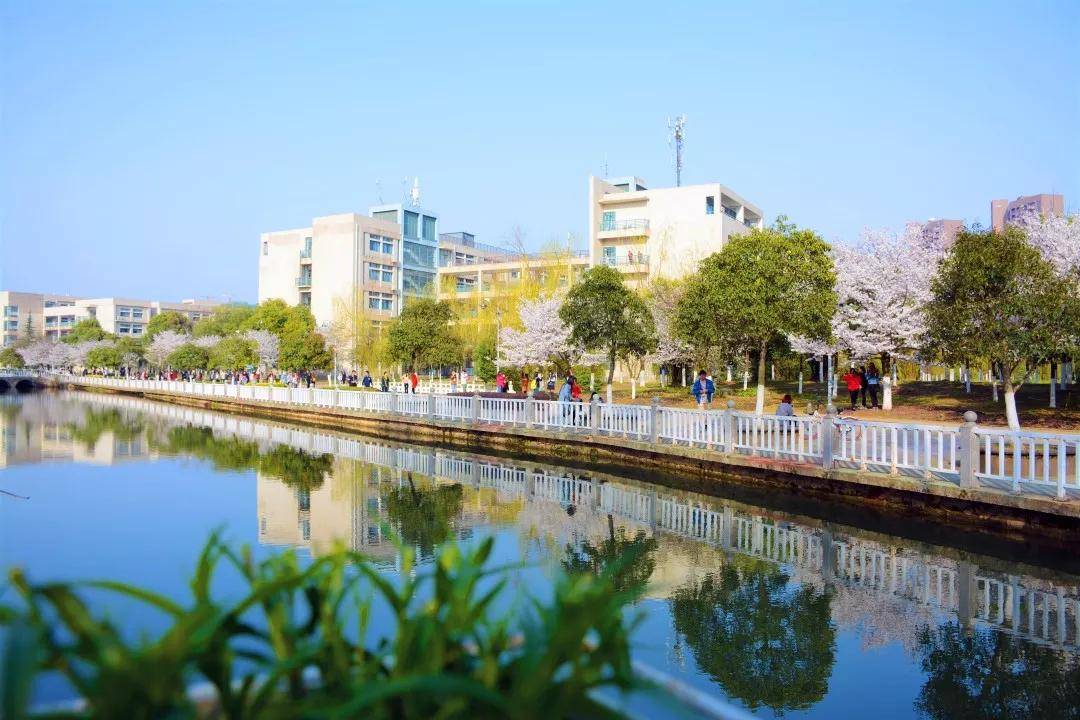 湖北经济学院|校园风光