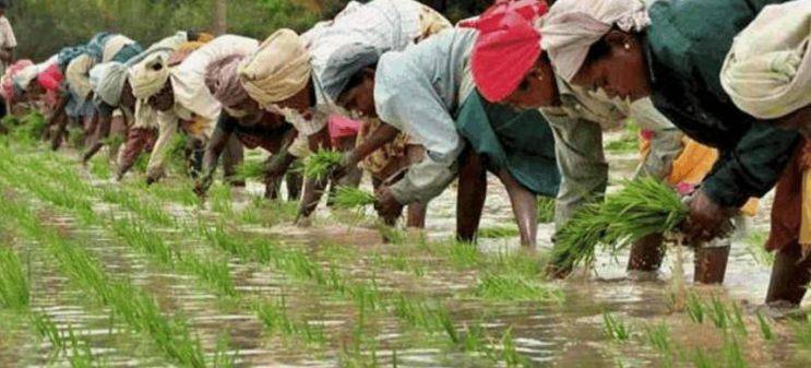 惹大事了,比尼泊尔还小的不丹拿出杀手锏