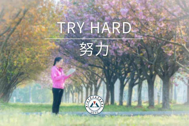 复习|高考倒计时10天丨乘风破浪会有时