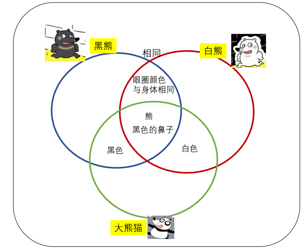 如何从生活中挖掘孩子的洞察力,这个简单的工具就能帮到你