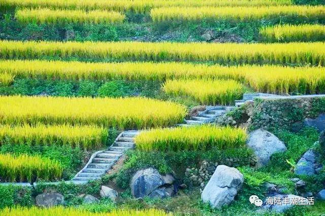 汕尾陆河景色—画境里的梯田