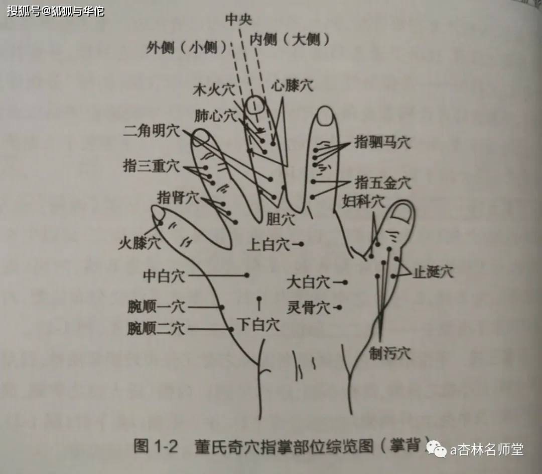 董氏奇穴 一一部位(手指穴位)新定位取穴法