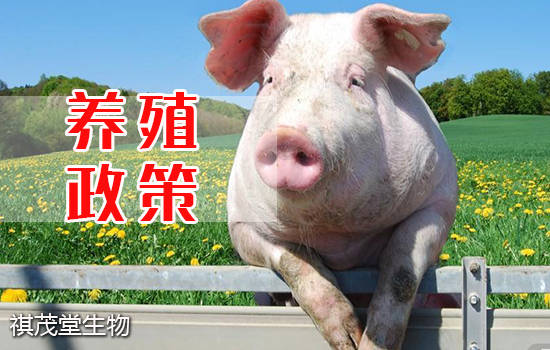养殖业或将迎来"大风暴,这些政策,机会养殖户们可要把握住!