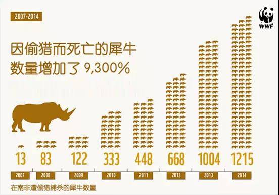 最後的北白犀牛：切角3年就能長出、被40人全天保護，為何還是走向滅絕？ 科技 第13張