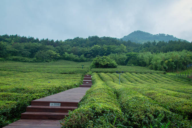 原创雨过天晴,田博园上渚山奇幻谷别有一番天地