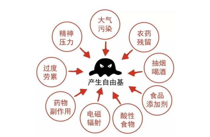 mecmor名膜壹号科普:皮肤衰老的元凶,自由基你了解多少