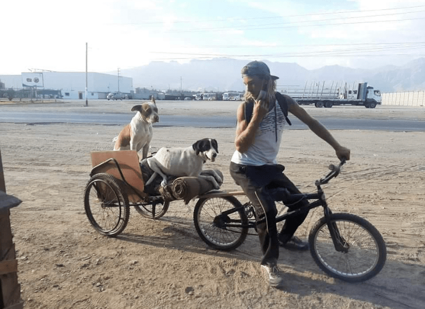 为了带两只流浪狗回国，男子拒绝大使馆专机，骑自行车辗转40天