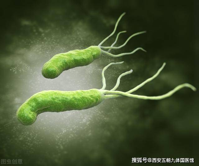 幽门螺旋菌患癌概率很低但这5类人却需要彻底根治