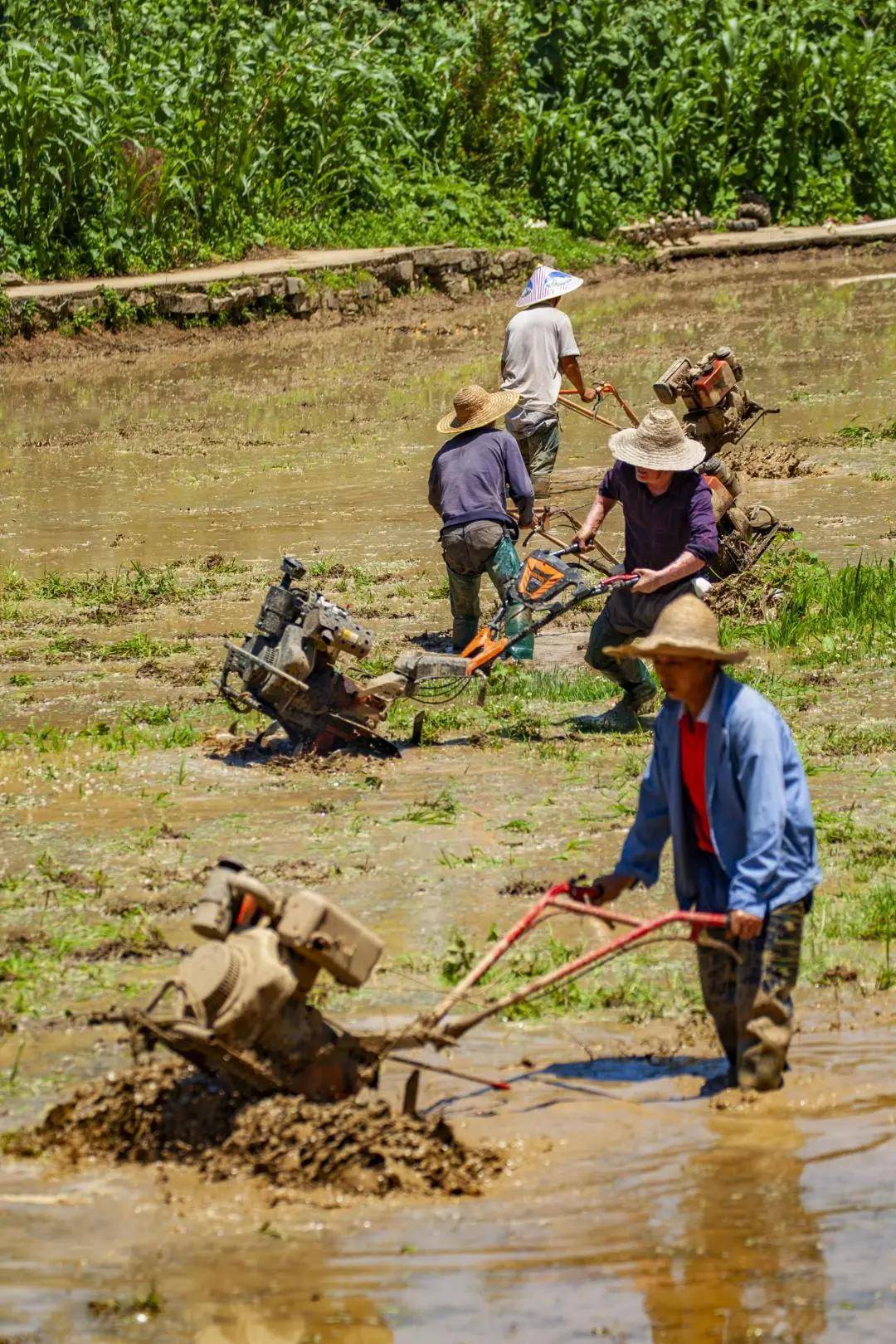 美图|“中航盈富杯”中国证券界精准扶贫摄影大展作品欣赏（二）