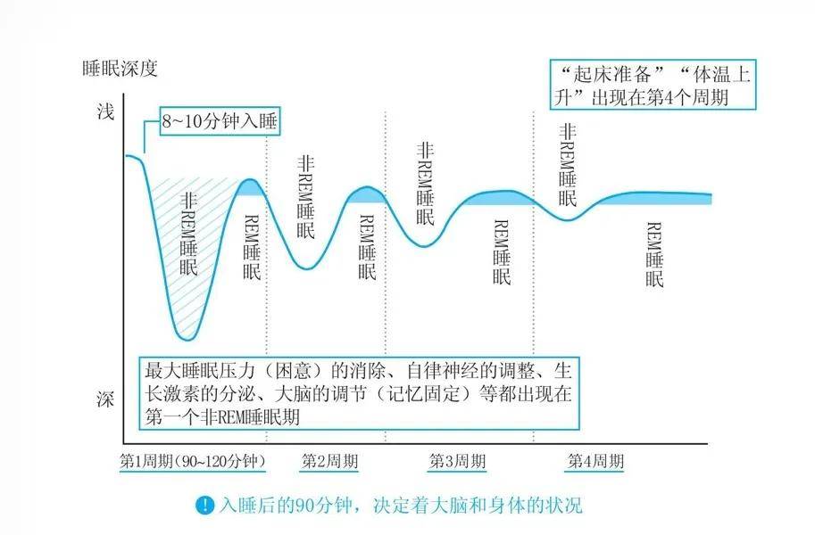 《斯坦福高效睡眠法》:初睡的90分钟决定了整晚的睡眠