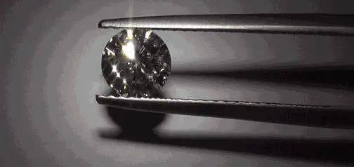 拉布拉多吞下价值14万元的钻石，网友：太识货！
