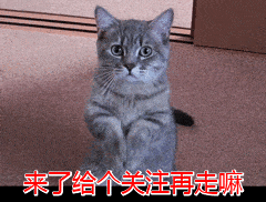 骨头|你都做好了吗?养狗就该做好6“不要”