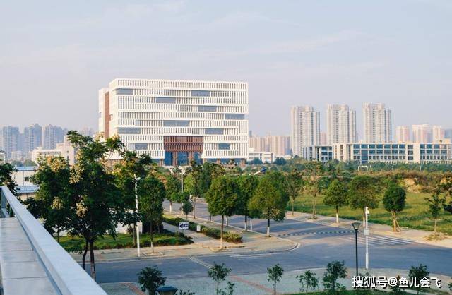 全国|武汉市排名前五大学太强了！武汉大学和华中科技大学谁排名第一？