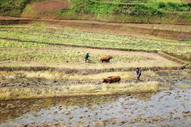 中国农民有多少人口_人社部 上半年补发农民工工资145亿