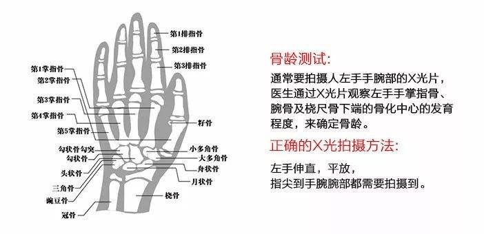 a7a617f327c645b39fe9bd55c2bb7b03.png