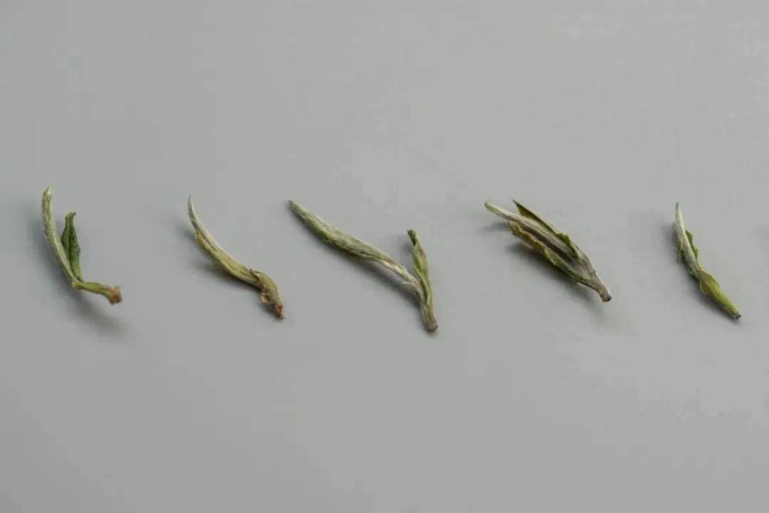 时节|养生正当时，食疗、茶疗法，总有一款适合你！小暑有“伏气”